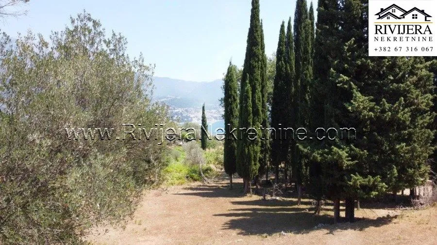 Prodaja, plac, 2391m², Žvinje, Herceg Novi