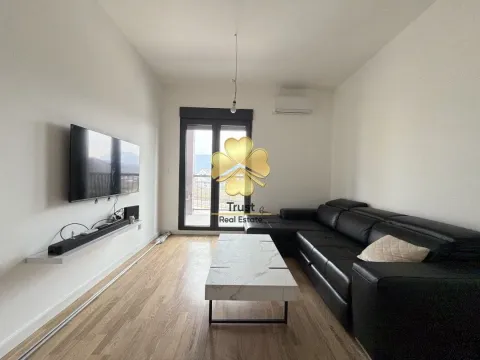 Izdavanje, jednosoban stan, 45m², Zagorič, Podgorica - image 1