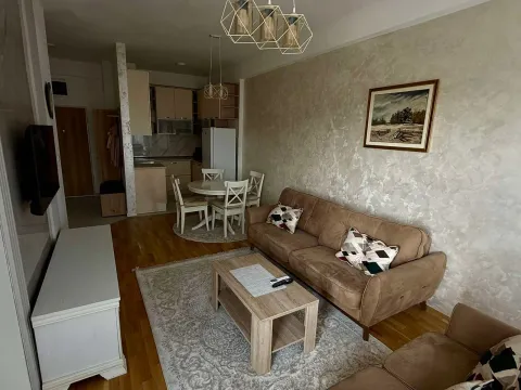 Rent, one bedroom apartment, 47m², Zagorič, Podgorica - image 1