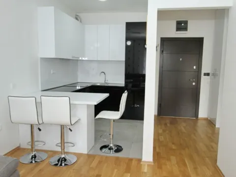 Izdavanje, jednosoban stan, 43m², Lazi, Budva - image 5