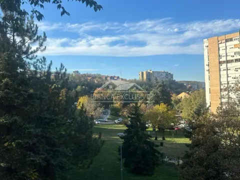 Sale, two bedroom apartment, 56m², Zvezdara Sve Podlokacije, Beograd