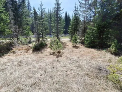 Prodaja, plac, 6750m², Podgora, Žabljak - image 9