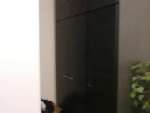 Prodaja, kuća, 380m², Pivara, Jagodina - image 80