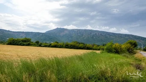 Zemljište in Beri