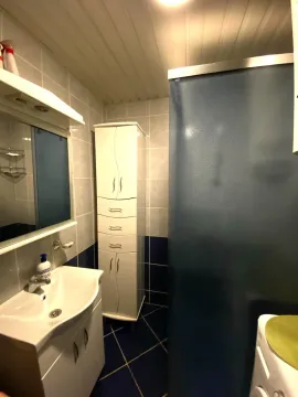 Kupatilo opremljeno umivaonikom, ogledalom, visokim ormarićem i tuš kabinom. - image 6