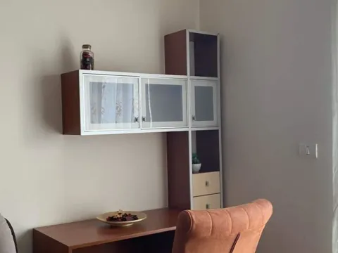 Izdavanje, garsonjera, 30m², Podgorica, Crna Gora - image 7