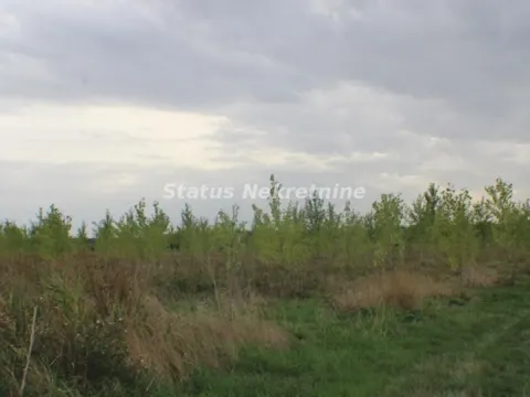 Prodaja, plac, 1378m², Zrenjanin, Srbija - image 60