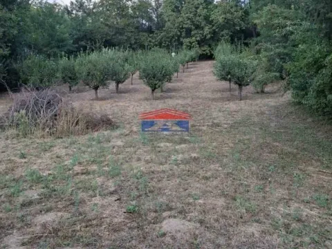 Prodaja, plac, 1400m², Inđija, Srbija - image 6