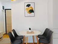 Izdavanje, jednosoban stan, 42m², Budva, Crna Gora - image 1