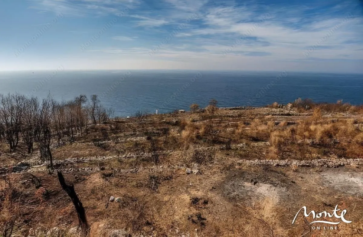 Prodaja, plac, 1000m², Reževići, Budva