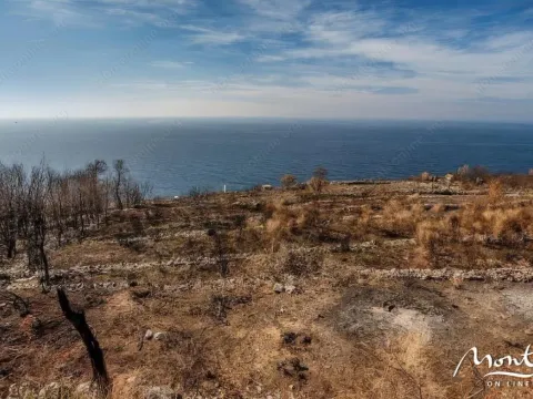 Prodaja, plac, 1000m², Reževići, Budva - image 2