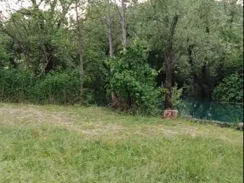 Prodaja, plac, 10000m², Danilovgrad, Crna Gora - image 2