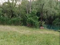 Prodaja, plac, 10000m², Danilovgrad, Crna Gora - image 2