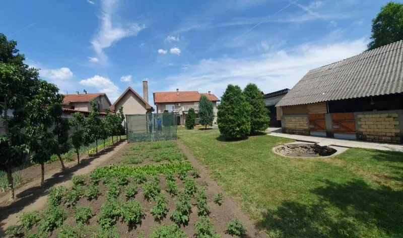Sale, house, 230m², Temerin, Novi Sad
