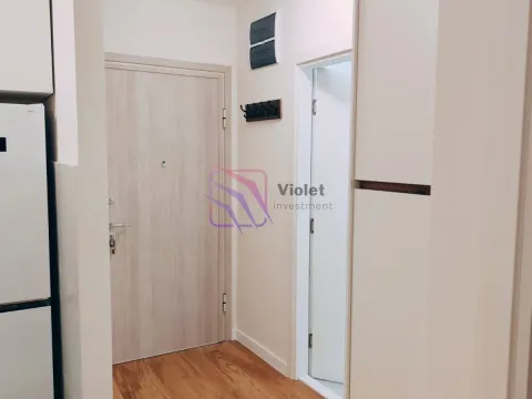 Izdavanje, jednosoban stan, 40m², Central Point, Podgorica - image 10