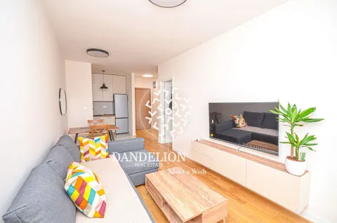 Rent, one bedroom apartment, 59m², Central Point, Podgorica - image 698