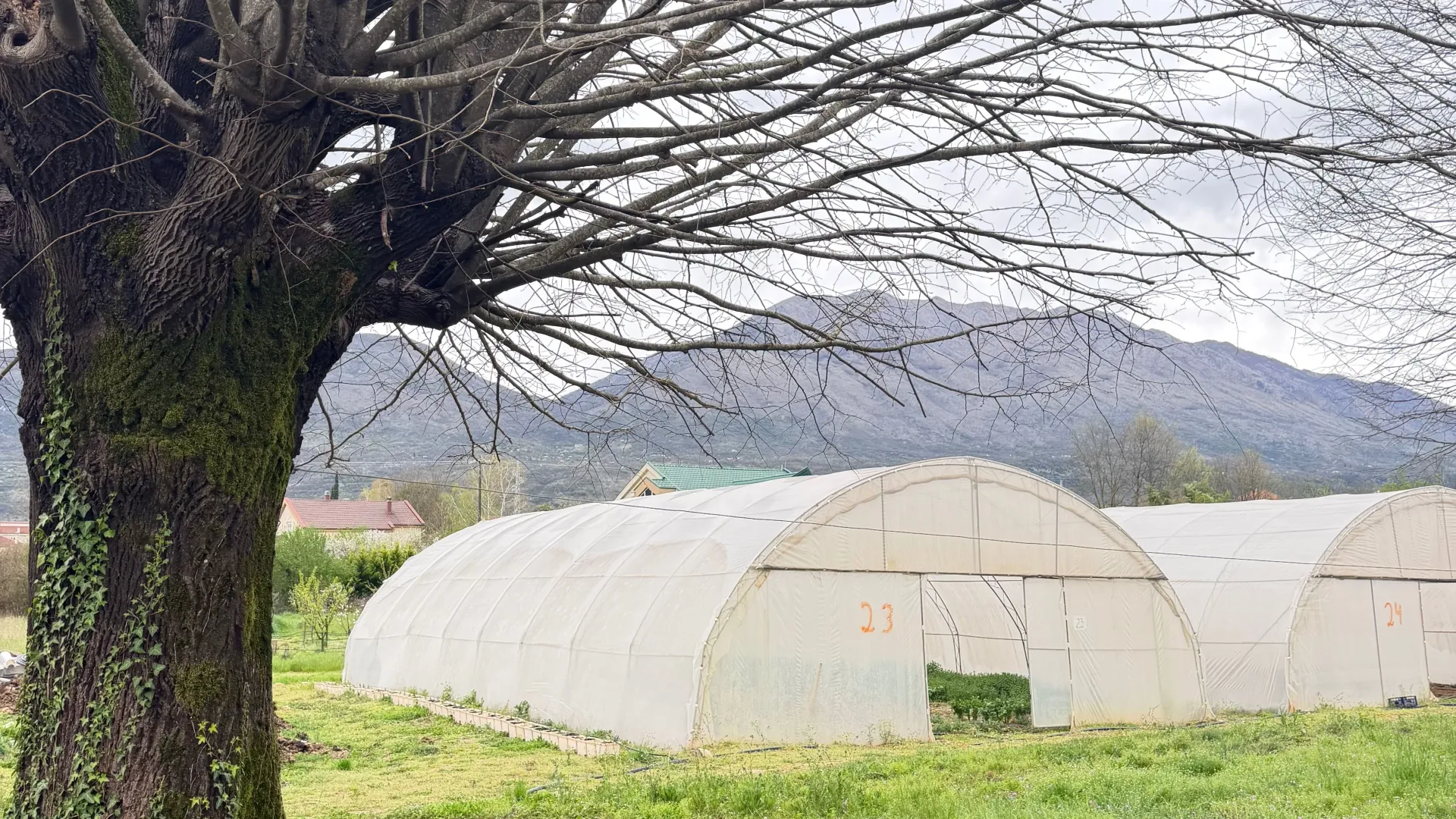 Prodaja, plac, 900m², Grlić, Danilovgrad