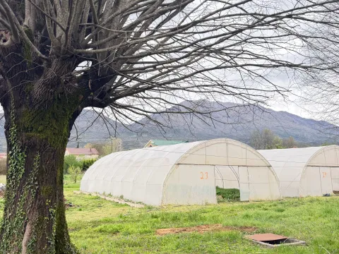 Prodaja, plac, 900m², Grlić, Danilovgrad - image 2