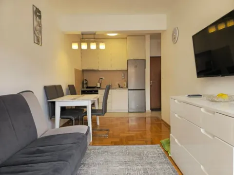 Sale, one bedroom apartment, 40m², Velji Vinogradi, Budva - image 4