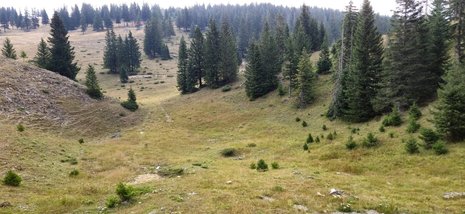 Prodaja, plac, 1000m², Majstorovina, Bijelo Polje