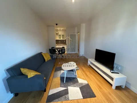 Izdavanje, jednosoban stan, 47m², Central Point, Podgorica - image 5