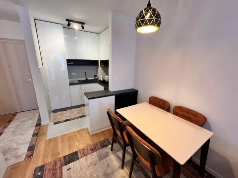 Rent, one bedroom apartment, 42m², Central Point, Podgorica - image 4
