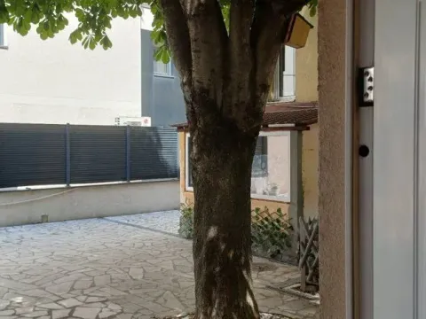 Rent, one bedroom apartment, 40m², Vračar Hram, Vračar Sve Podlokacije - image 15