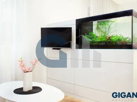 Prodaja, stan, 250m², Savski Venac, Beograd - image 4