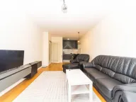 Izdavanje, jednosoban stan, 45m², Central Point, Podgorica - image 3