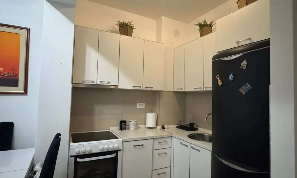 Rent, one bedroom apartment, 48m², Preko Morače, Podgorica