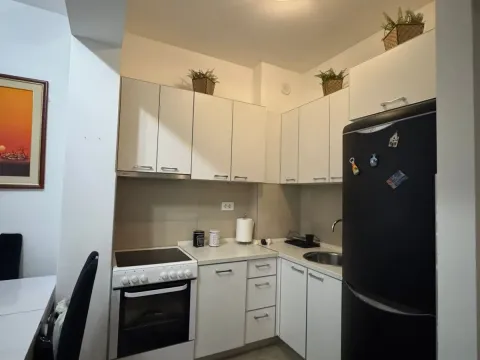 Rent, one bedroom apartment, 48m², Preko Morače, Podgorica - image 1