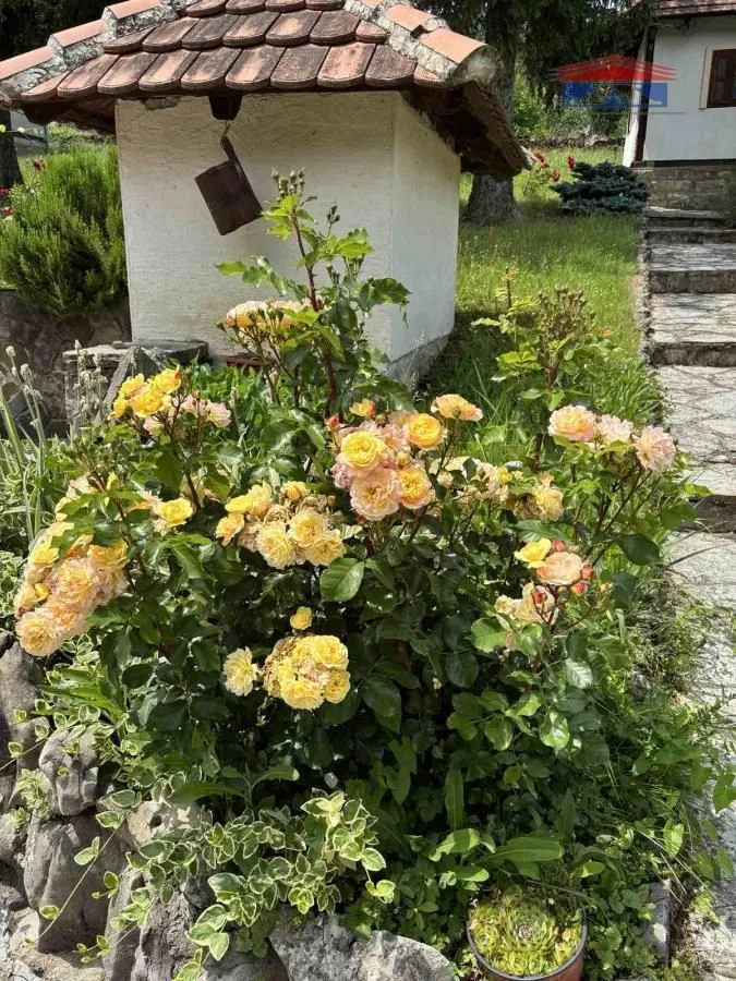 Prodaja, kuća, 146m², Ba, Ljig