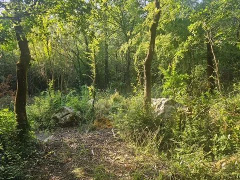 Prodaja, plac, 500m², Mojdež, Herceg Novi - image 3