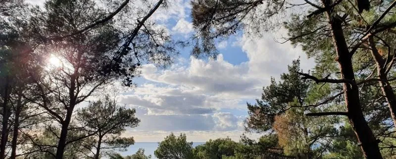 Prodaja, plac, 6500m², Bar, Crna Gora