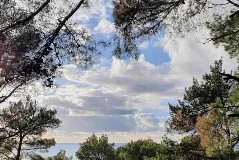 Prodaja, plac, 6500m², Bar, Crna Gora - image 4