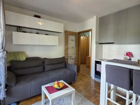 Izdavanje, stan, 25m², Zabjelo, Podgorica - image 4