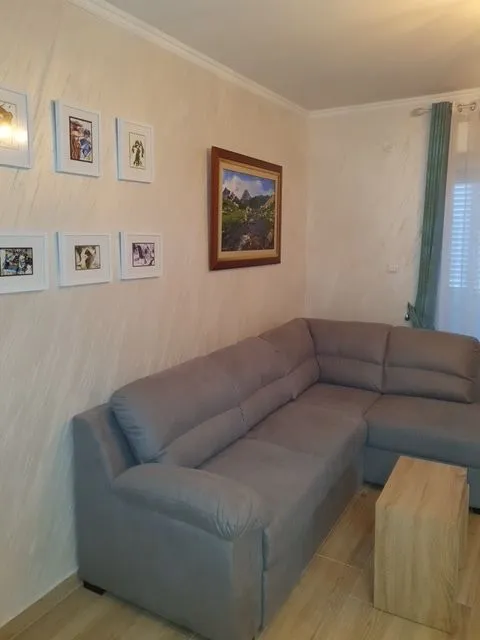 Rent, one bedroom apartment, 35m², Centar, Podgorica