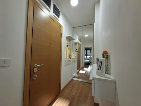 Izdavanje, jednosoban stan, 45m², Centar, Novi Sad - image 13