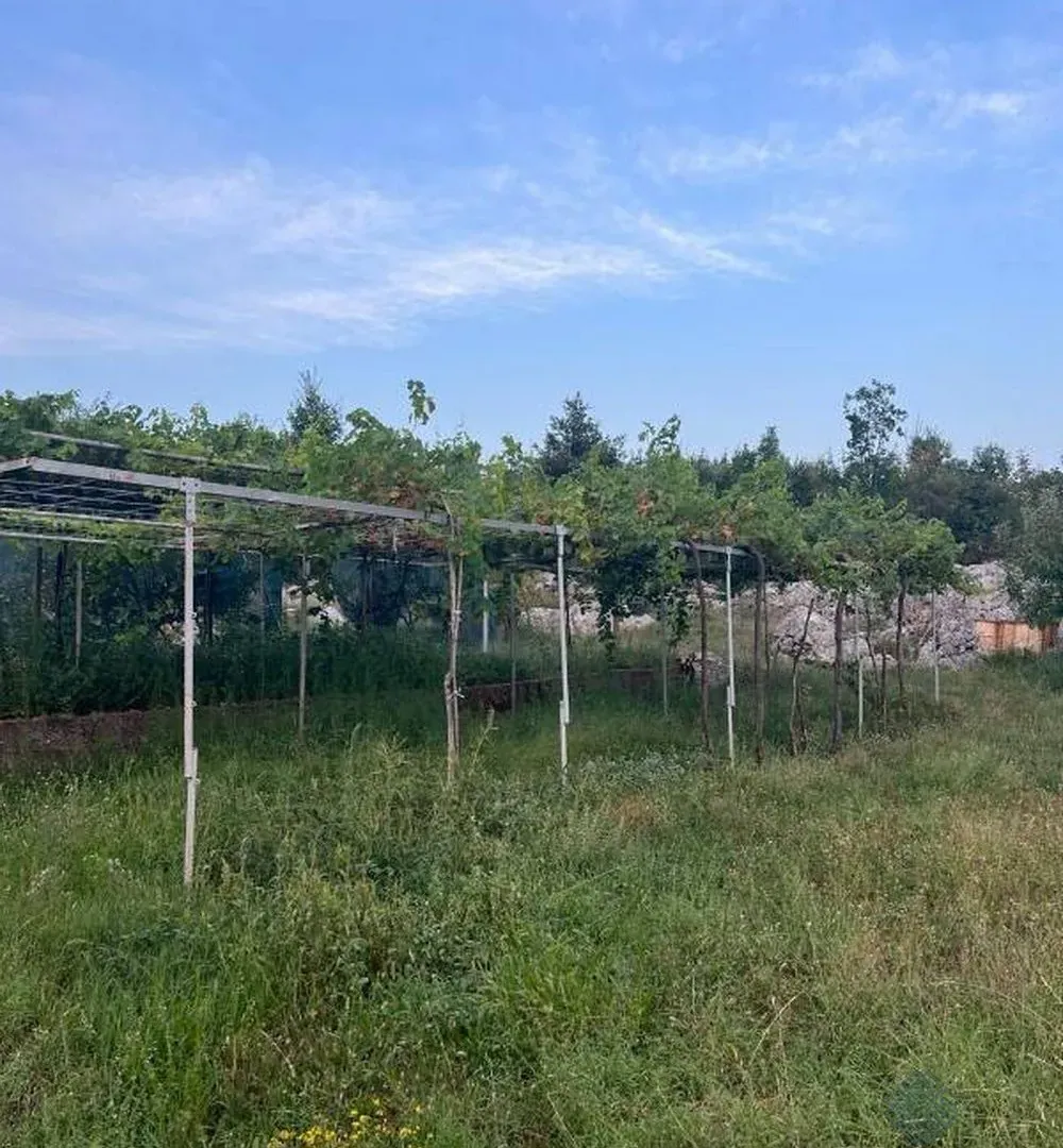Prodaja, plac, 30000m², Danilovgrad, Crna Gora
