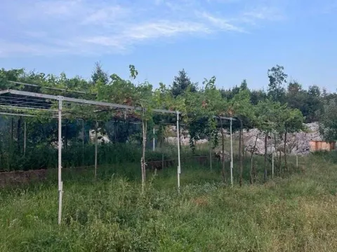 Prodaja, plac, 30000m², Danilovgrad, Crna Gora - image 2