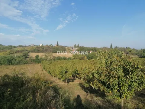 Sale, land lot, 114m², Krčedin, Inđija - image 2