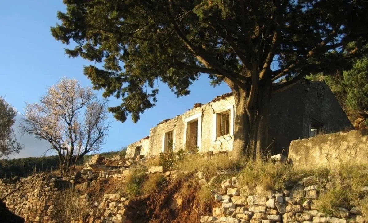 Prodaja, plac, 11246m², Budva, Crna Gora