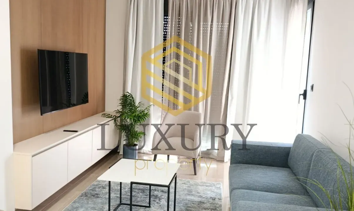 Rent, one bedroom apartment, 45m², Vezirov Most, Podgorica