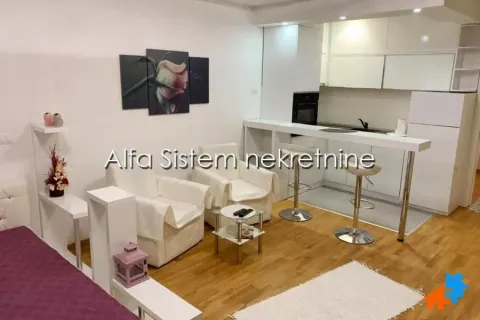 Rent, one bedroom apartment, 35m², Novi Beograd Blok 67, Novi Beograd Sve Podlokacije - image 3