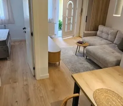 Izdavanje, jednosoban stan, 38m², Centar, Novi Sad - image 10