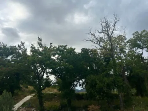 Izdavanje, garsonjera, 27m², Pržno, Budva - image 11