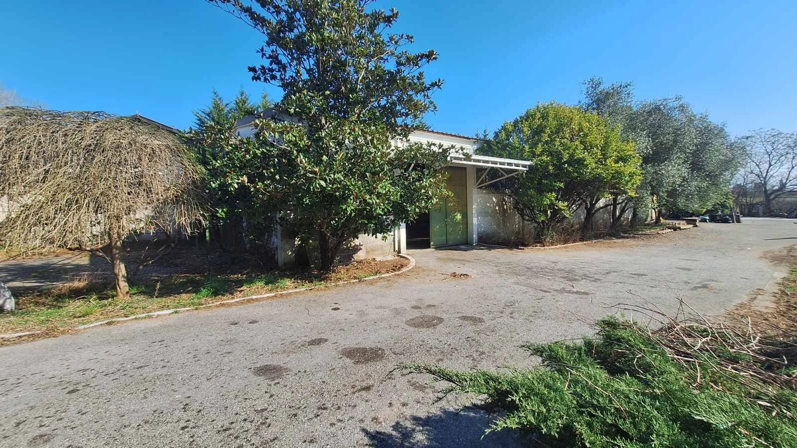 View of the exterior of the building with a yard and paved driveway.