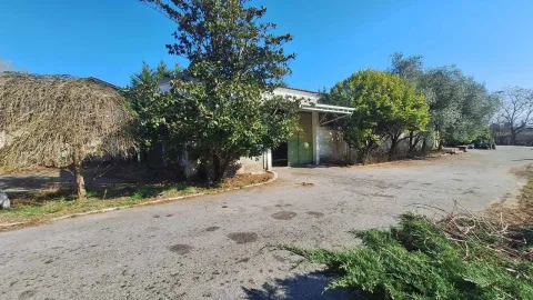 View of the exterior of the building with a yard and paved driveway. - image 3
