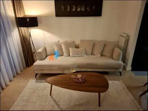 Izdavanje, dvosoban stan, 51m², Savski Venac, Beograd - image 4