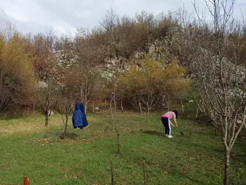 Prodaja, plac, 17000m², Podgorica, Crna Gora - image 3